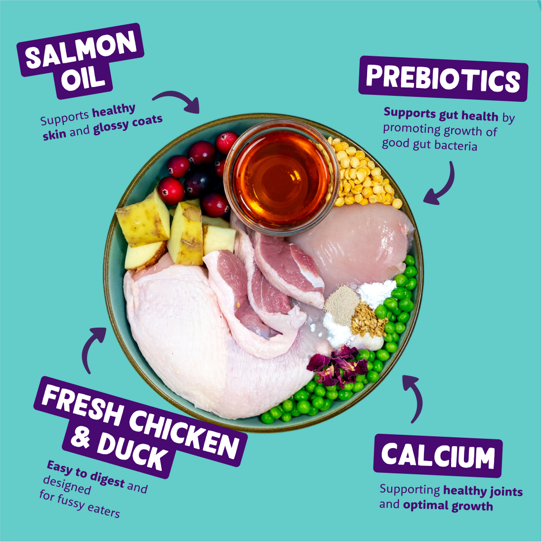A plate of ingredients including salmon oil, prebiotics, chicken, duck and calcium
