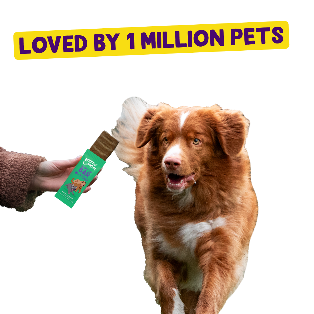 Dog running toward Edgard & Cooper dog treat bar, with text 'Loved by 1 Million Pets' above