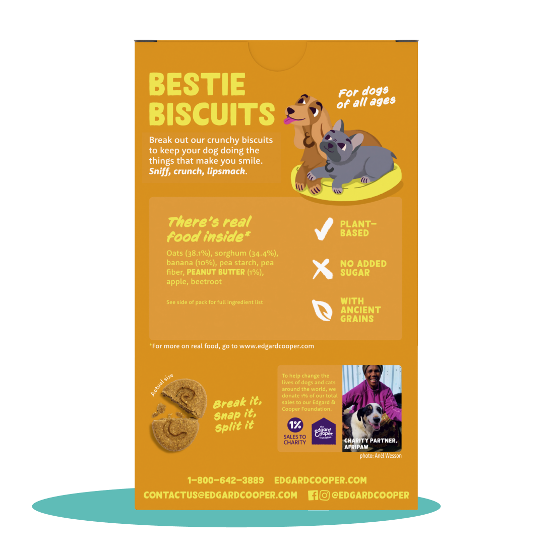 Oatmeal with Peanut Butter Biscuit Dog Treats