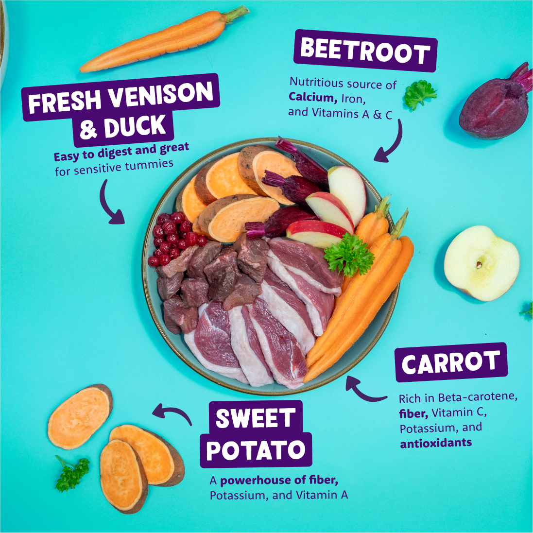 Venison & Duck Wet Food