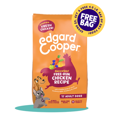 Free-run Chicken Dry Food