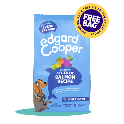 Atlantic Salmon Dry Food