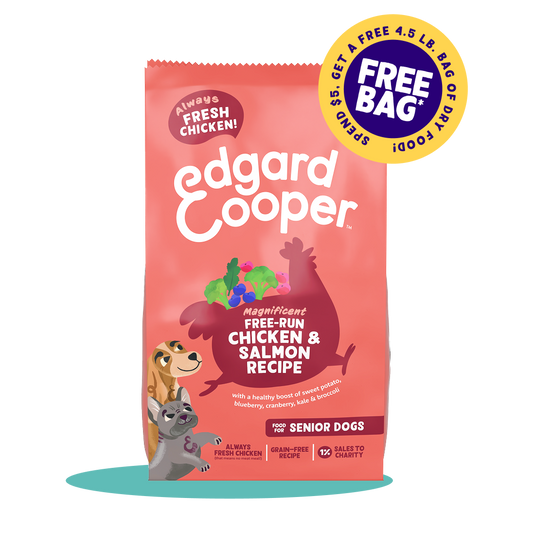 Free-run Chicken & Salmon Dry Food