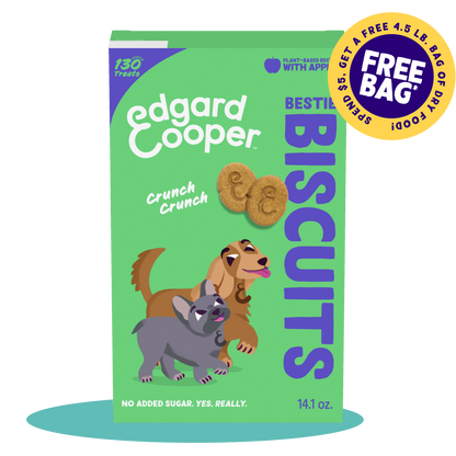 Apple Biscuit Dog Treats