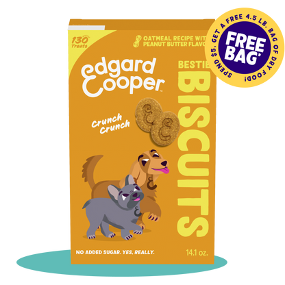 Oatmeal with Peanut Butter Biscuit Dog Treats