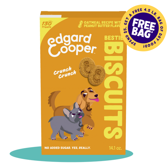 Oatmeal with Peanut Butter Biscuit Dog Treats