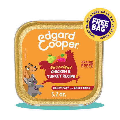 Chicken & Turkey Wet Food