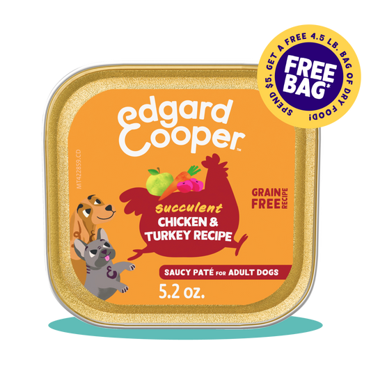 Chicken & Turkey Wet Food