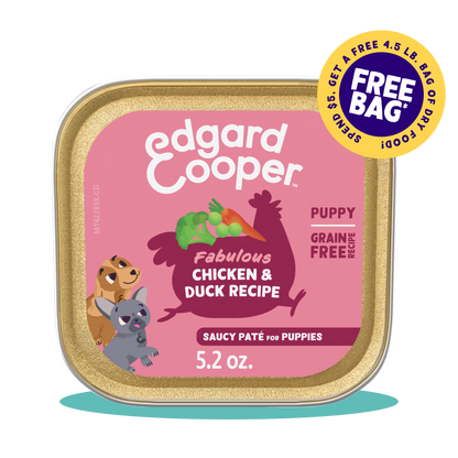 Chicken & Duck Wet Food