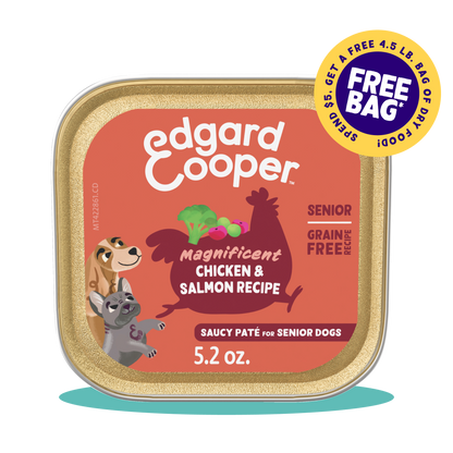 Chicken & Salmon Wet Food