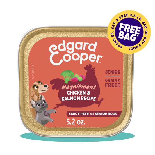 Chicken & Salmon Wet Food