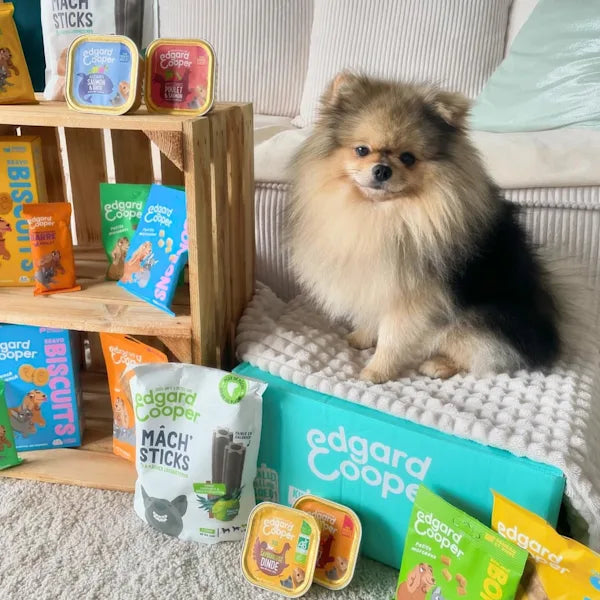 A small fluffy dog poses next to a selection of Edgard & Cooper dog food products