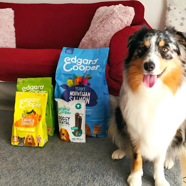 A collie sits happily next to a selection of Edgard & Cooper dog food