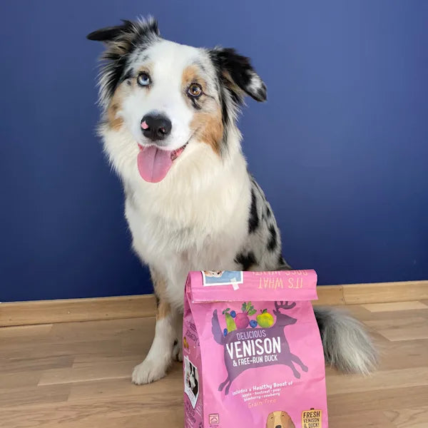 A collie sits next to a bag of duck and venison dry dog food